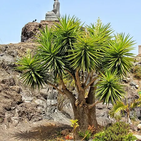 Ferienhaus Berolo 1 *