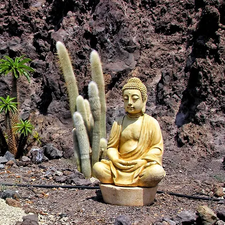 Casa vacanze Berolo 1 Guía de Isora