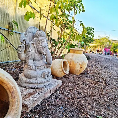 Berolo 1 Guía de Isora