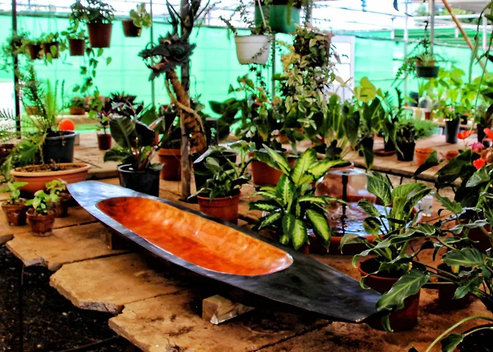 Dom wakacyjny Berolo 1